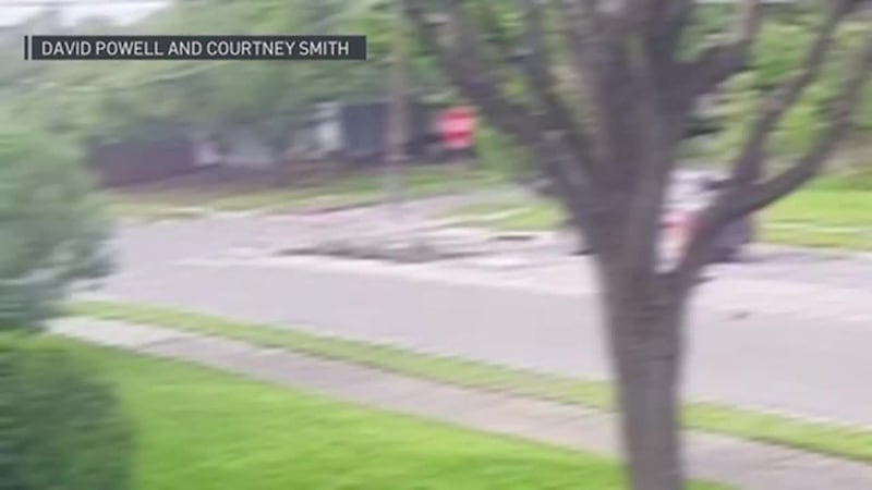 Hispano reconocido en la comunidad muere tras ser atropellado mientras caminaba por una...