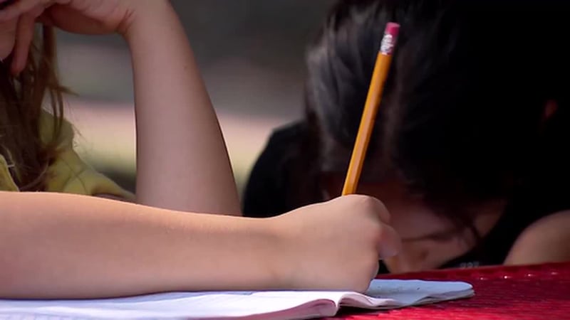 Niños con autismo: ¿cómo podemos abogar por su seguridad? Una serie de consejos para sus...